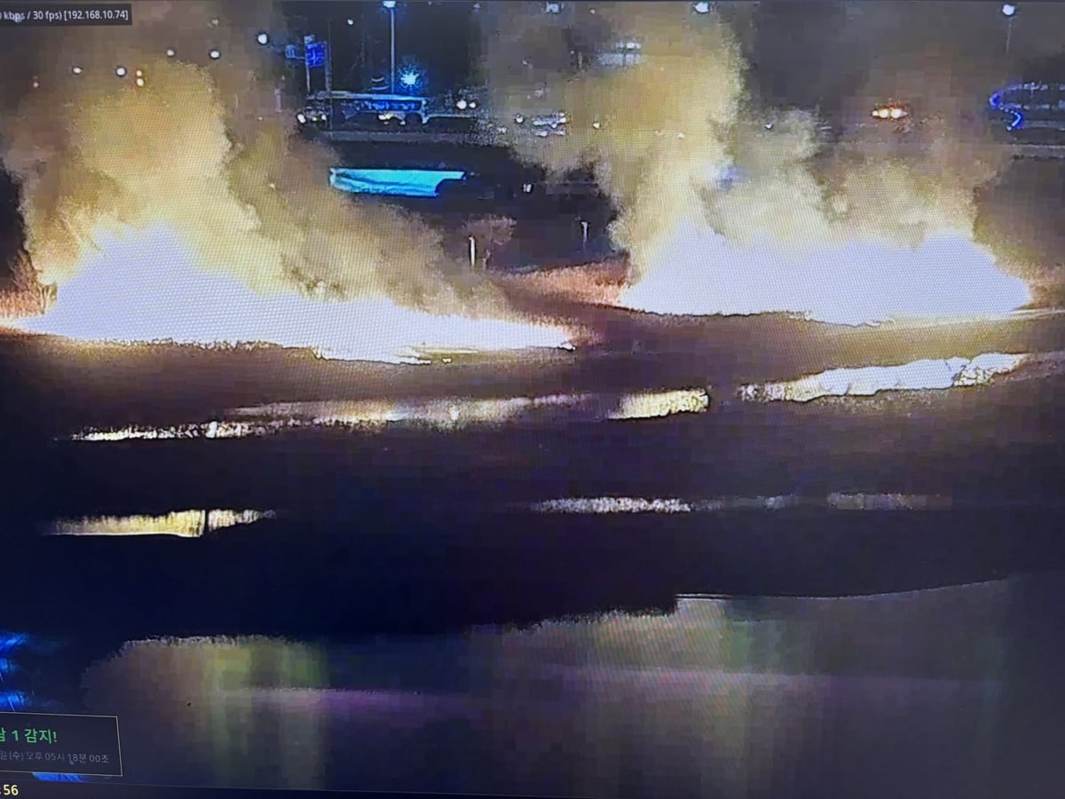 Fire in Ulsan reed field extinguished after one hour