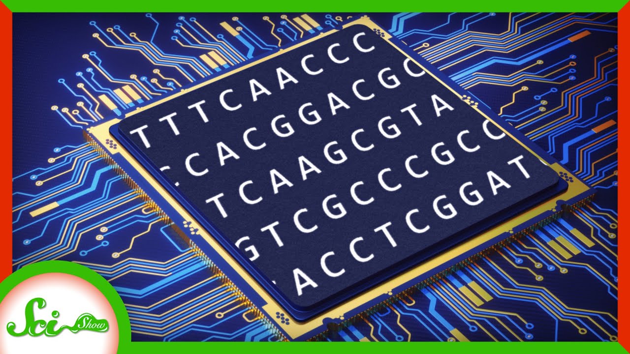 DNA: Not just for life anymore!