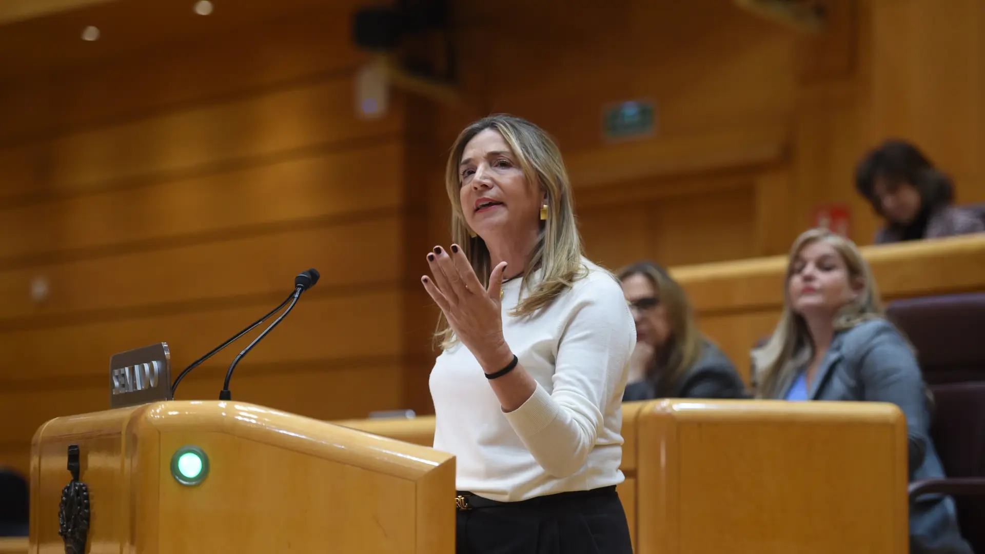 El PP avisa de que llevará a Sánchez al TC si no comparece en el Senado ...