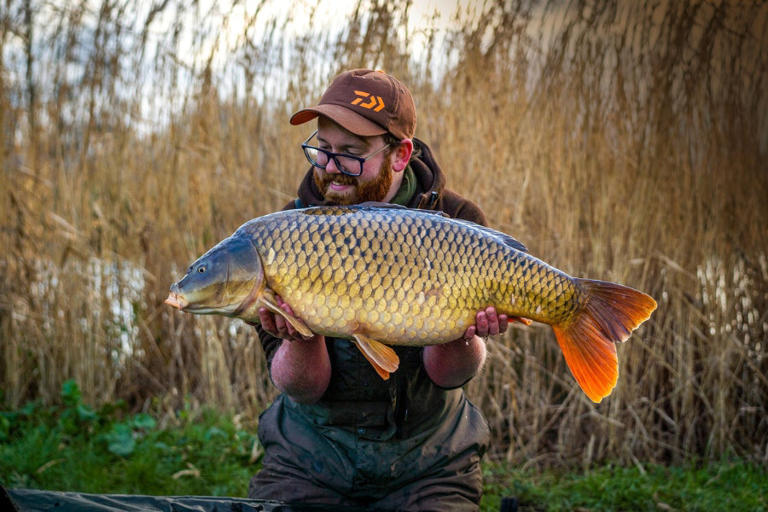 How to target cold water carp with maggots