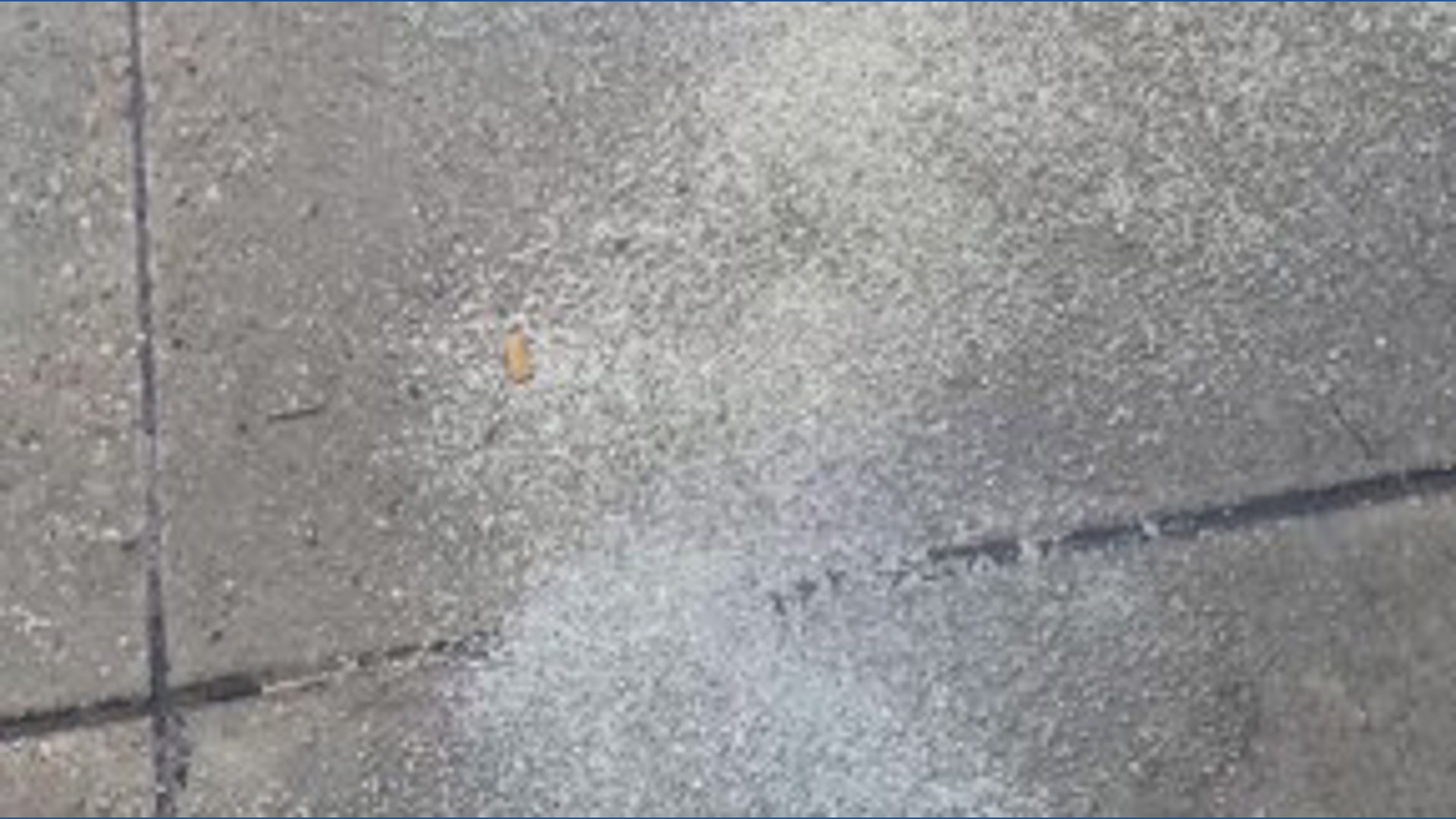 Slightly slick roads in South Dallas