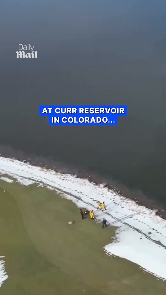 Rescuers save deer stranded on thin ice