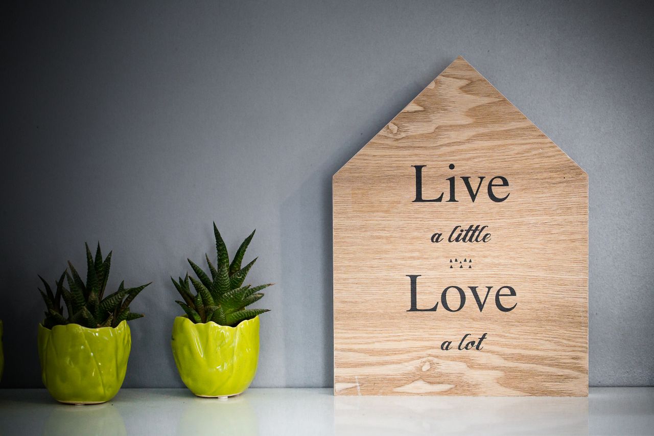 Wooden decor piece with Live a little Love a lot next to potted succulents in green containers on a white surface