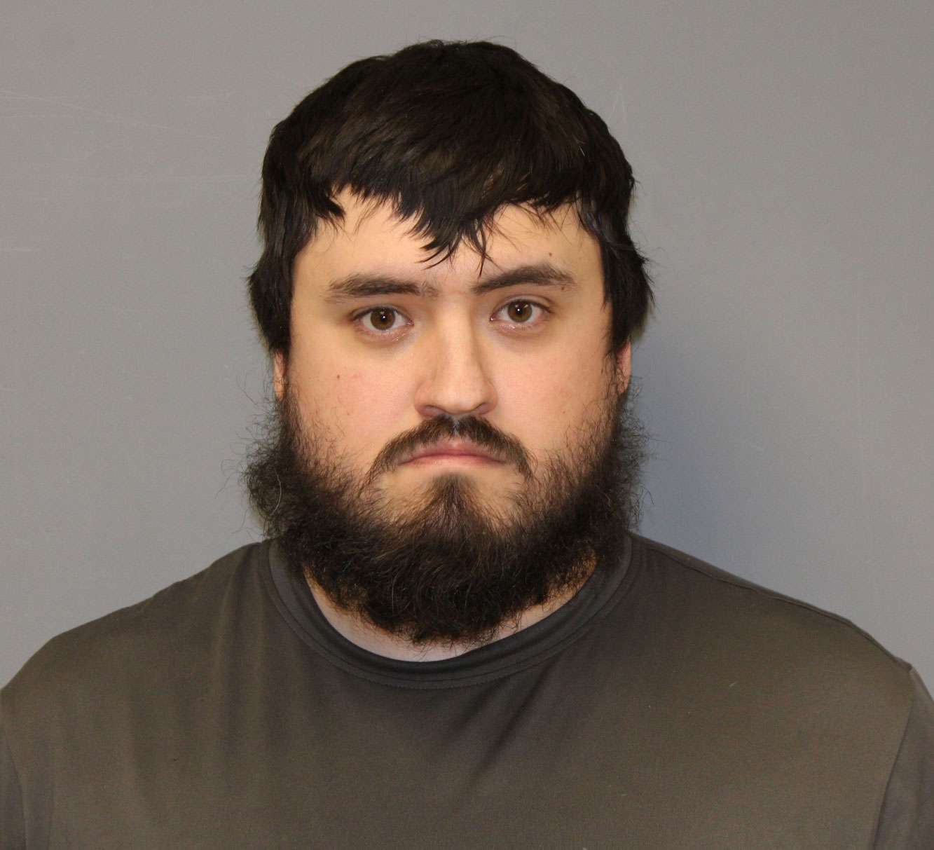 Man charged after allegedly abducting a 7-year-old girl after she got ...