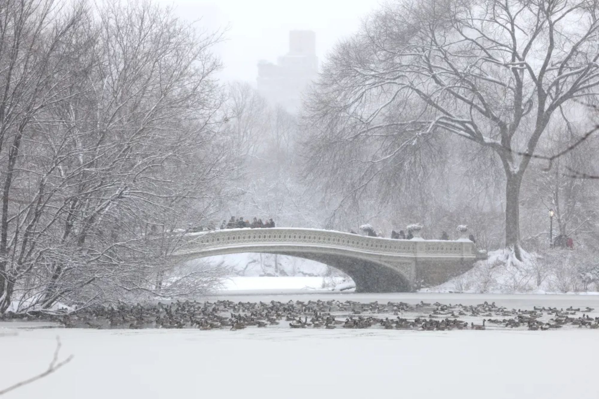 NYC wakes up to artic temperatures ahead of Winter Storm Fern