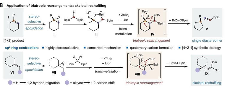 A new three-way single step rearrangement enables precise ring editing