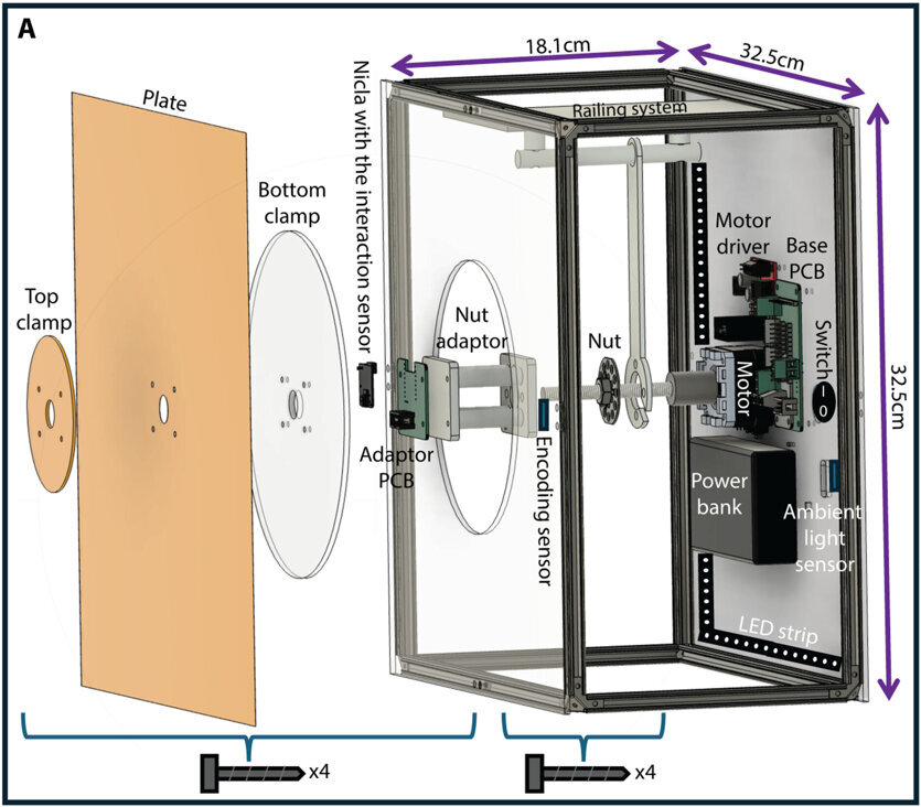 Swarms of mini robots that 'bloom' could lead to adaptive architecture