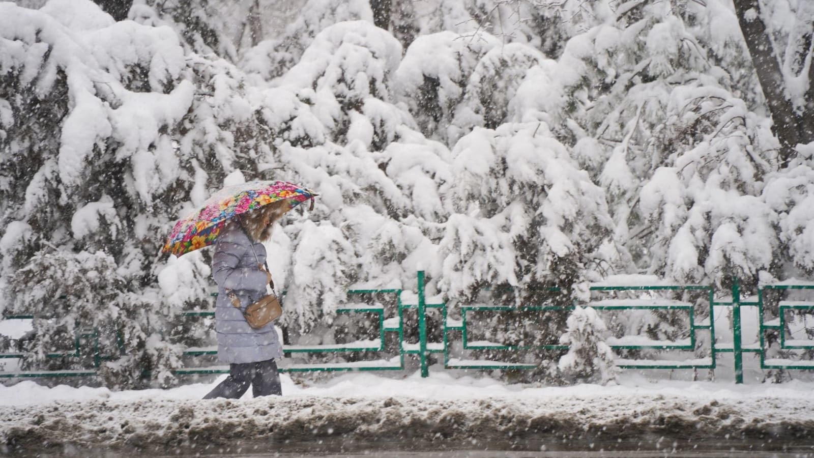 Winter weather update: Forecast maps highlight regions at highest risk ...