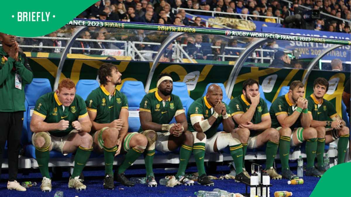 Jim Hamilton: All Blacks tipped to halt Springboks' winning run in ...