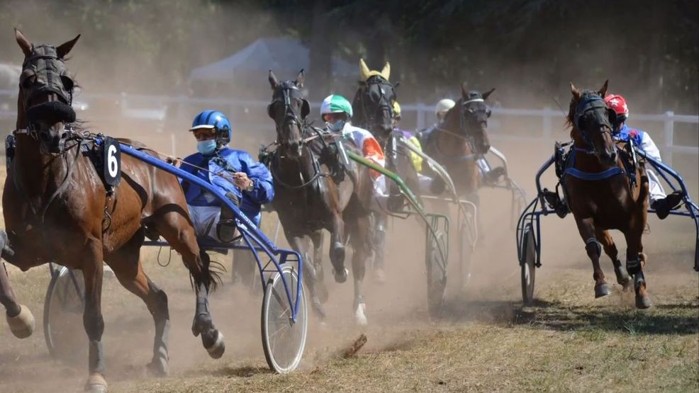 Harness racing returns to Big Fresno Fair after a century