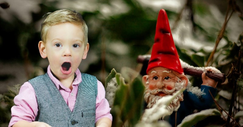 'Keep him out of my yard!': 8-year-old kid gets caught stealing ...