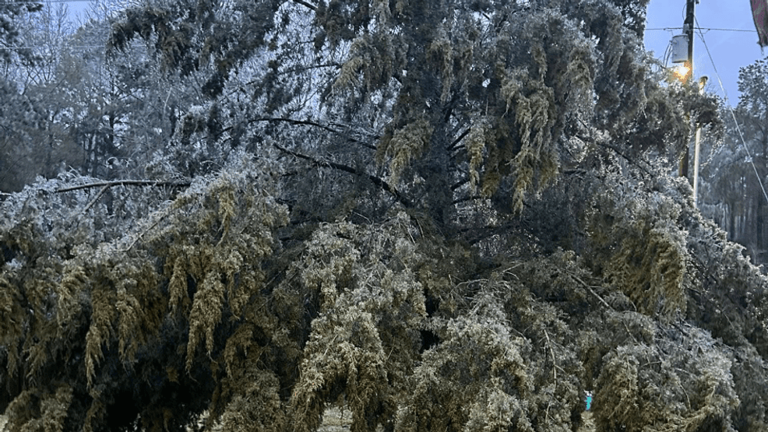 Hundreds of ice-covered trees fall onto roads in Newton, Jasper County