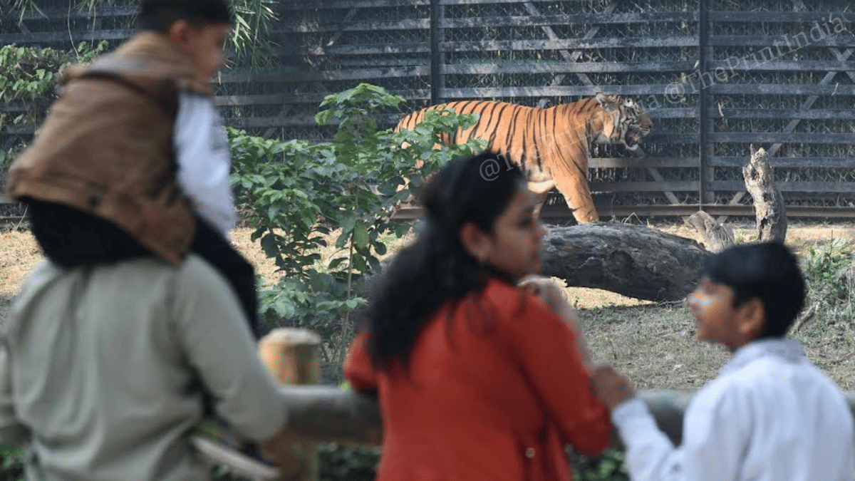 ThePrint photos of the week: R-Day rehearsals, Modi & Nabin at BJP HQ ...