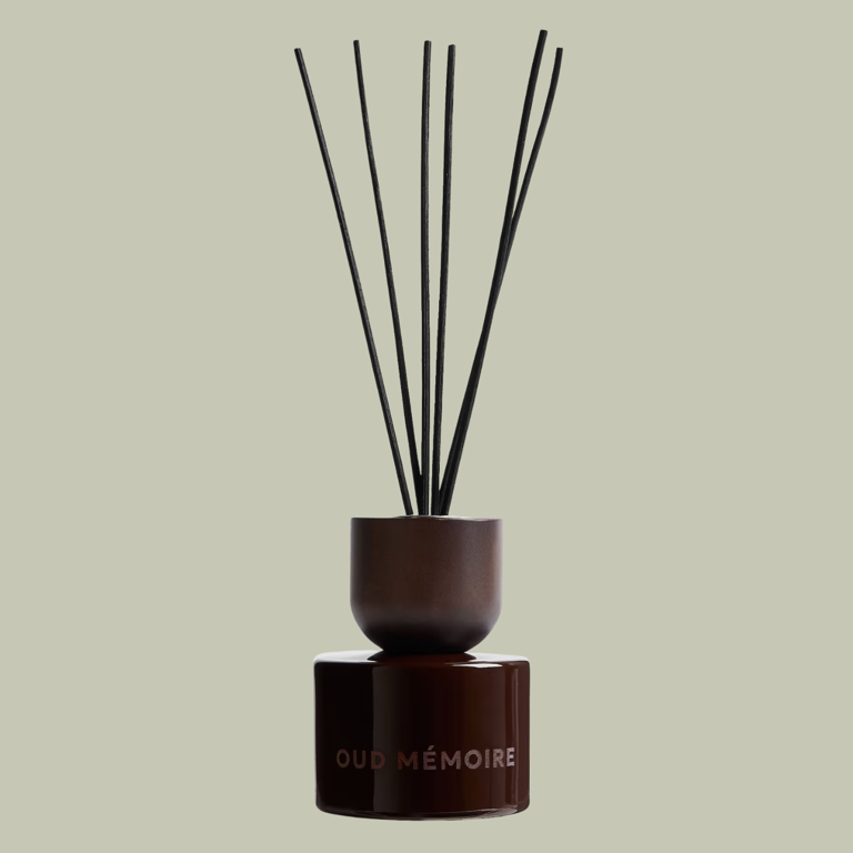 Alessi's reed diffuser bowl is for the chrome-obsessed fragrance lovers