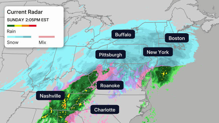 Winter Storm Fern Turns Deadly In Louisiana, Outages For Hundreds Of ...