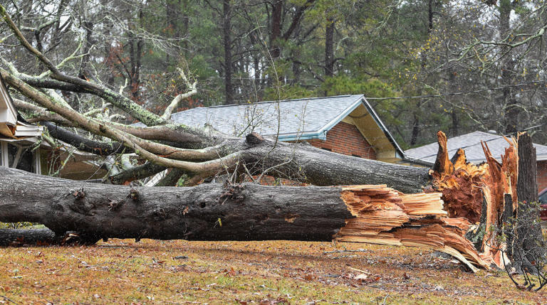 Montgomery struck Sunday by storm winds, severe chills, power outages