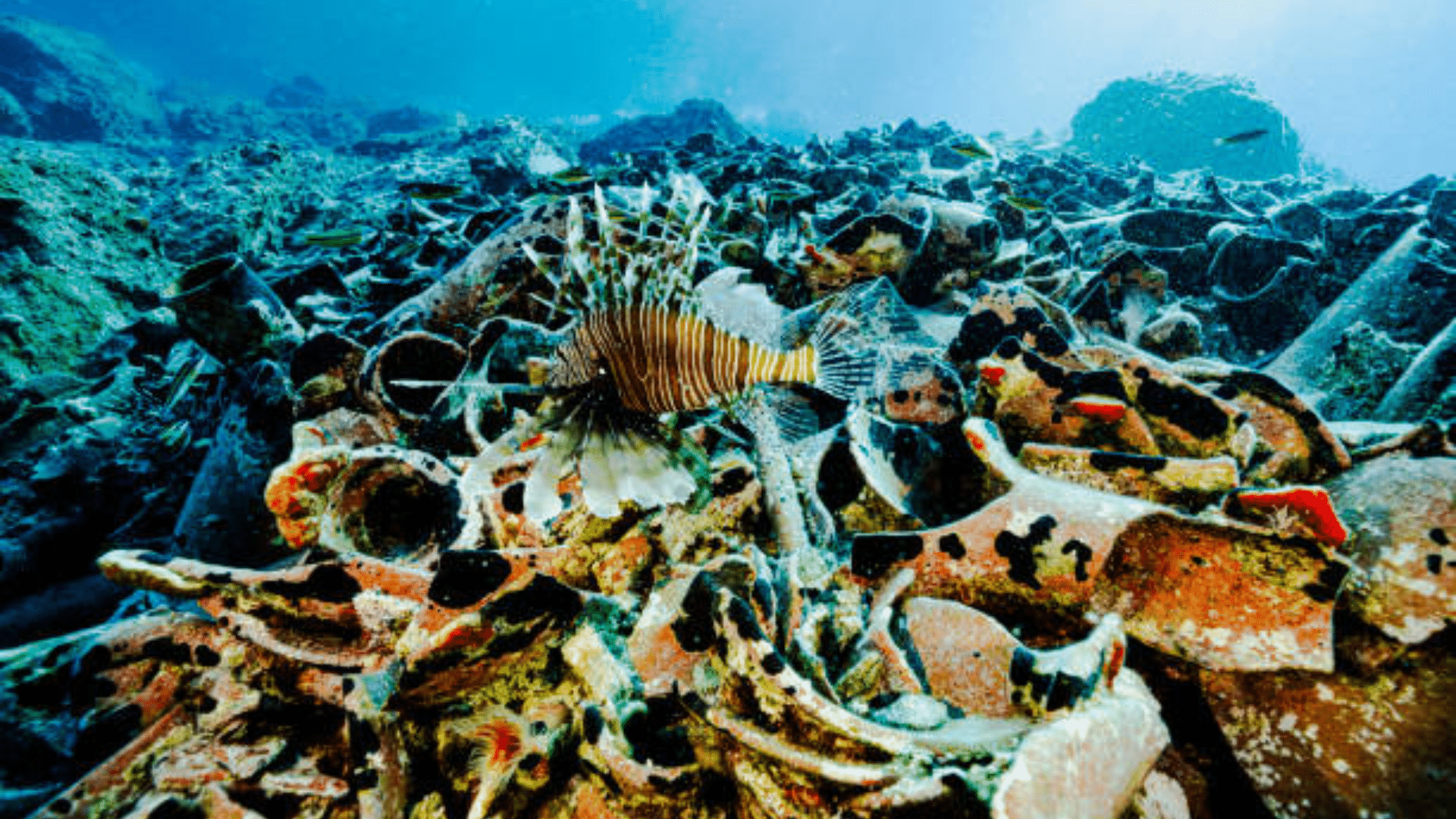Invasive creatures are swarming the US., and experts say the fix is to ...