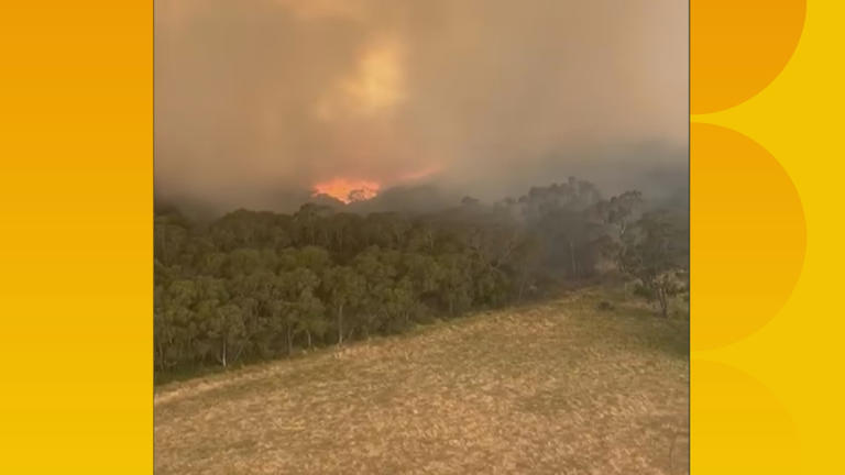 Multiple bushfires are burning in Victoria.