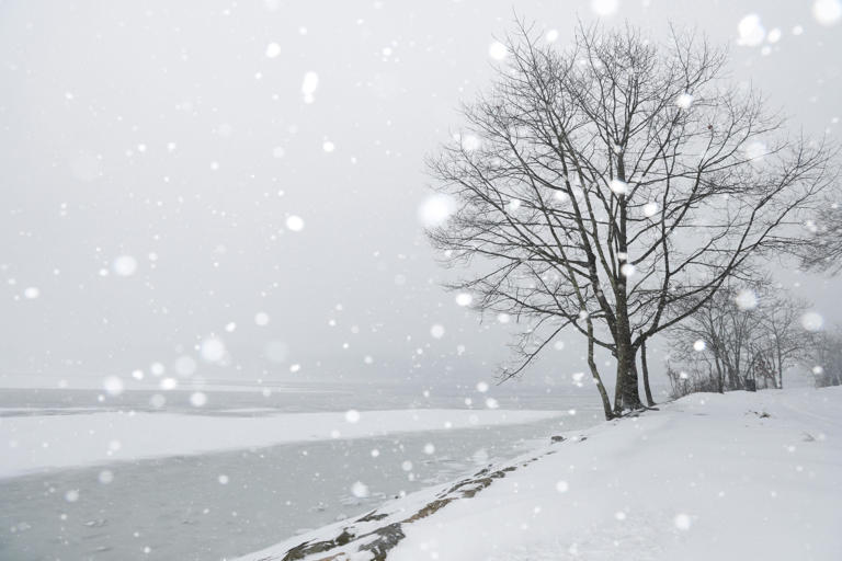 What's the latest it's ever snowed in Rhode Island? It's later than you ...