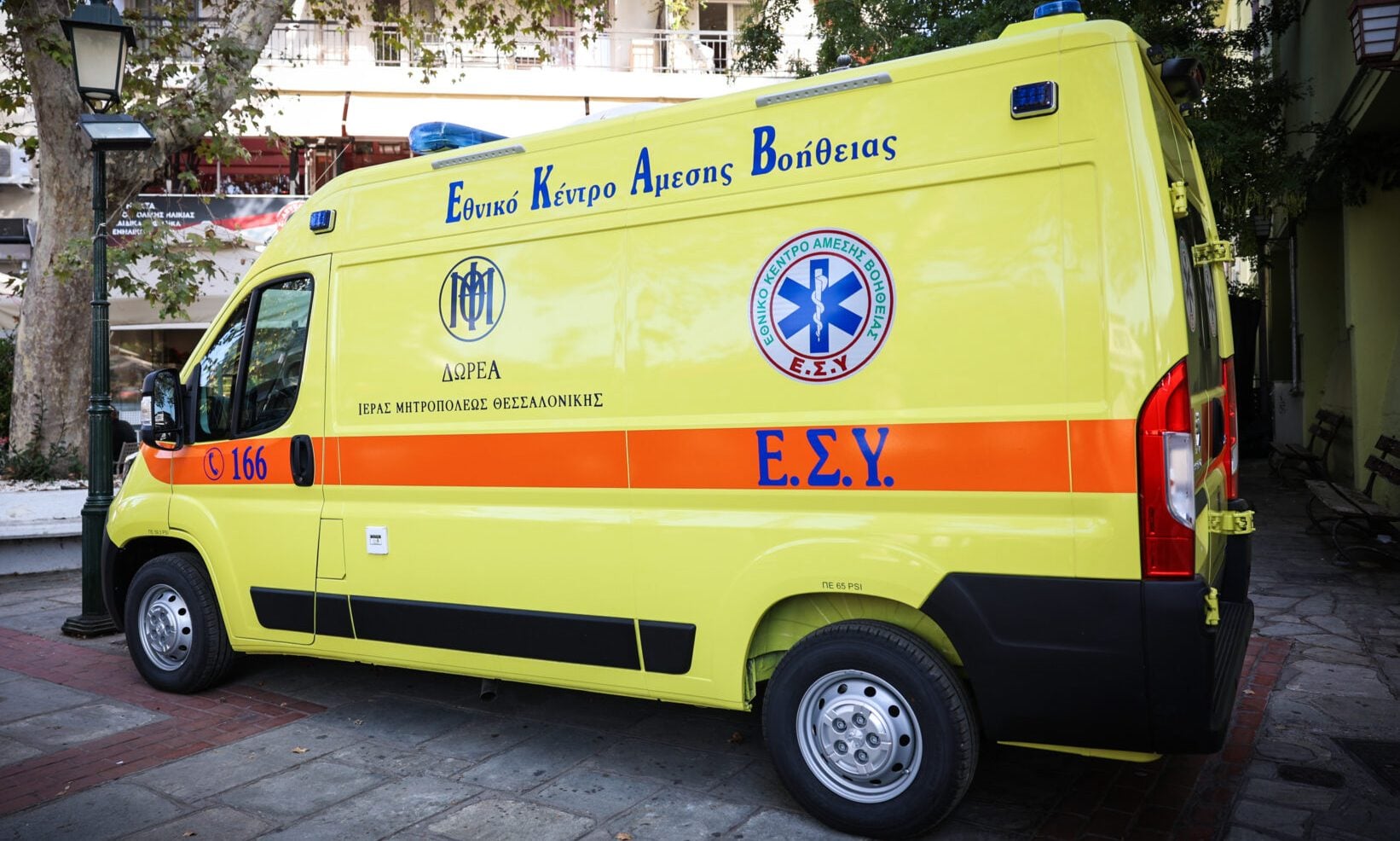 Κρήτη: Σε κρίσιμη κατάσταση 4χρονος που δέχθηκε επίθεση από μεγαλόσωμο ...