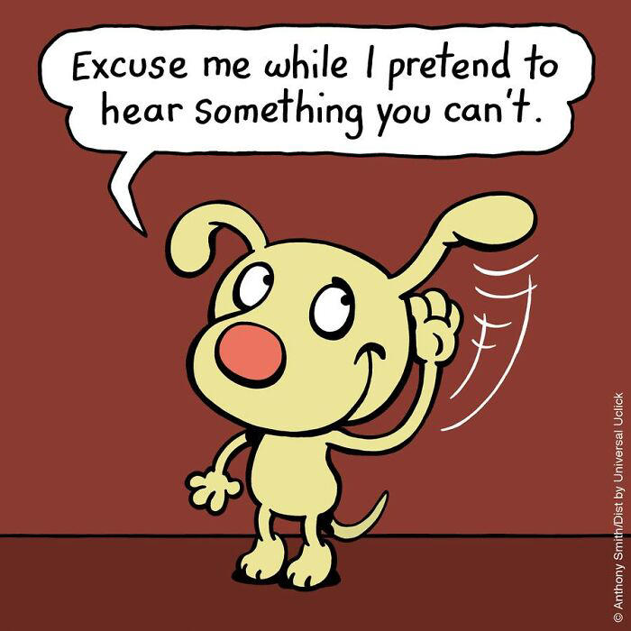 Artist makes 29 hilarious one-panel comics about a cute dog and his ...