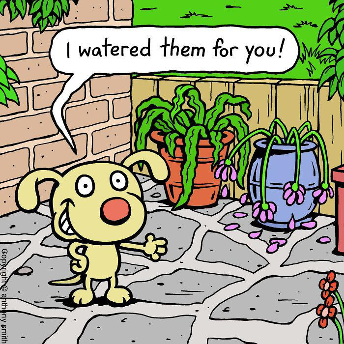 Artist makes 29 hilarious one-panel comics about a cute dog and his ...