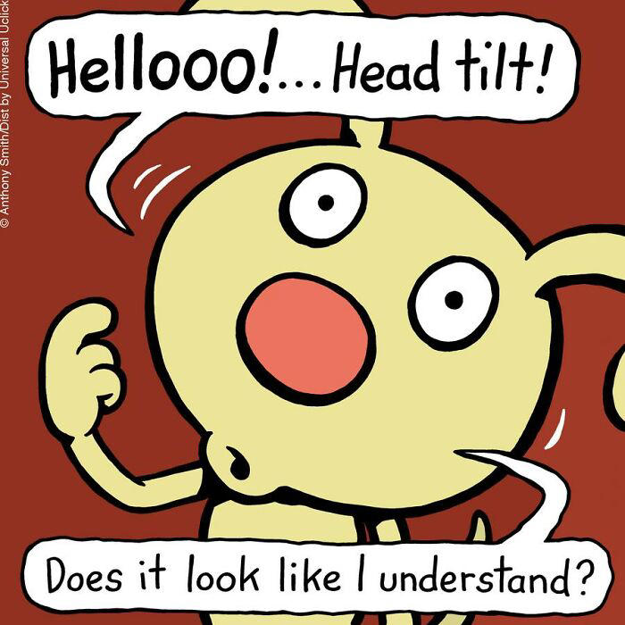 Artist makes 29 hilarious one-panel comics about a cute dog and his ...