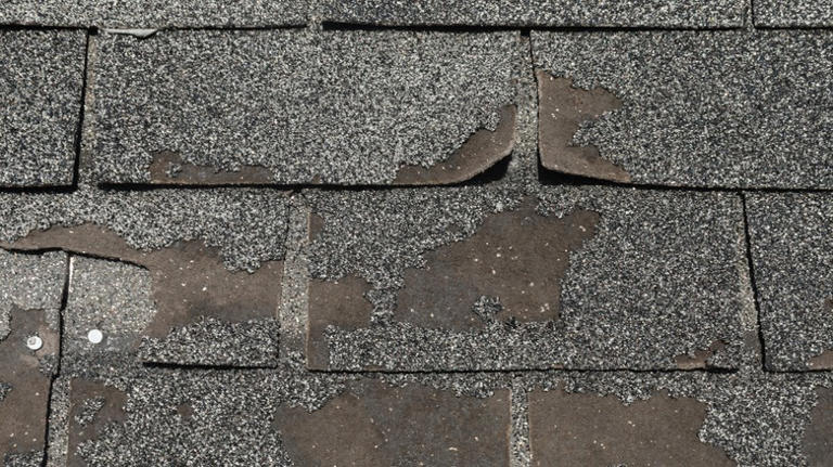 The hidden disadvantages to asphalt shingle roofing that you should ...