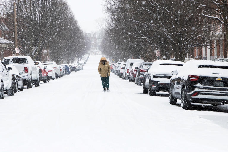 Una persona camina por una calle residencial cubierta de nieve mientras una intensa nevada cubre las calles de San Luis, Misuri, Estados Unidos, 24 de enero de 2026. | Crédito: REUTERS/Lawrence Bryant