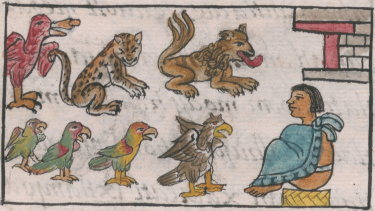 Bones do not lie: Archaeologists confirm Aztecs use captive animals for ...