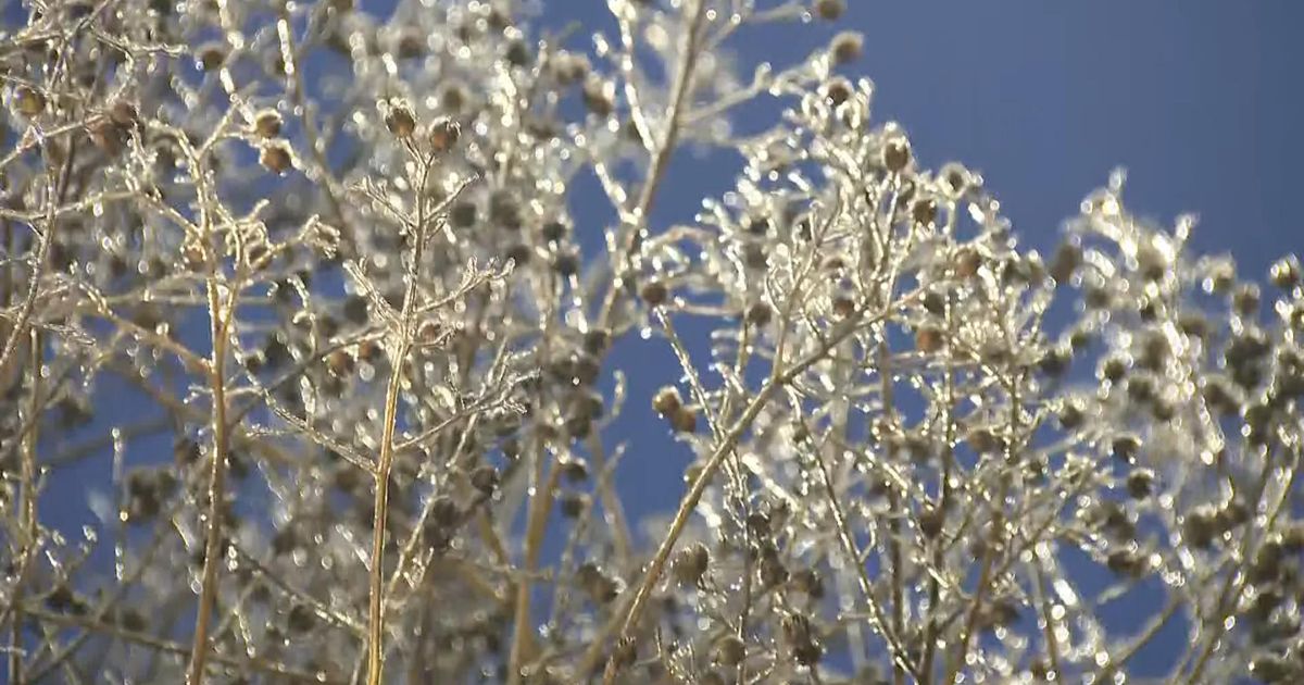 Ice storm latest: NCDOT and Stein say over 100K gallons of brine spread across the state<br><br>