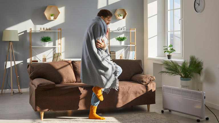 The blooming indoor plant that thrives in the cold rooms in your home