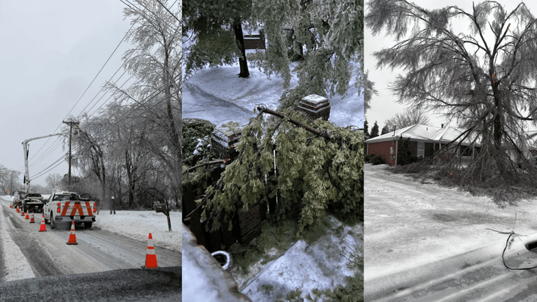 Winter storm brings ice, power outages, and tree damage to Tennessee ...