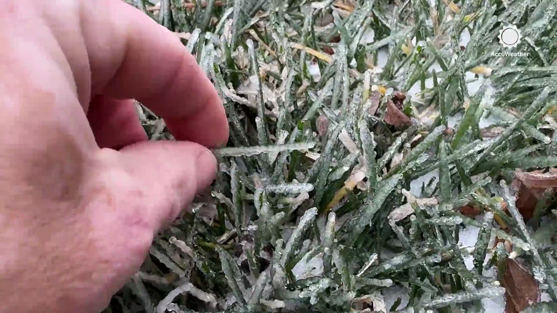 Freezing rain begins after a day of sleet and snow in North Carolina