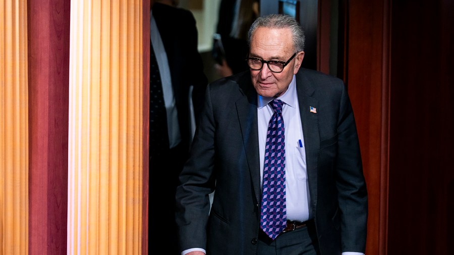 Schumer calls on GOP to move funding package without DHS money to avoid ...