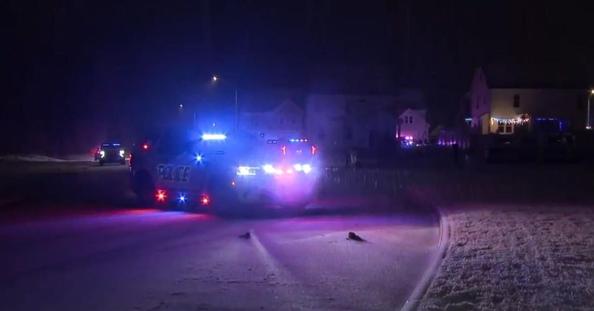 Man tried to run down woman before standoff with Garner police