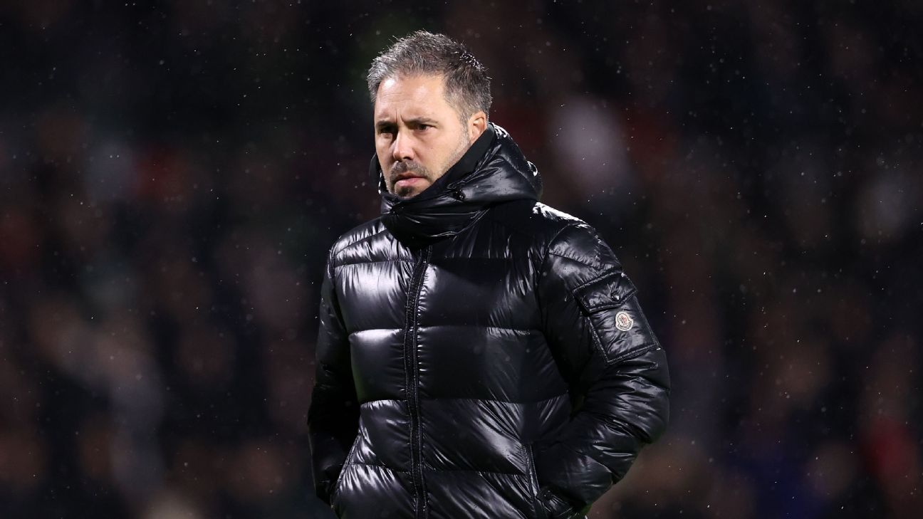Portland Timbers hire former Leicester manager Cifuentes