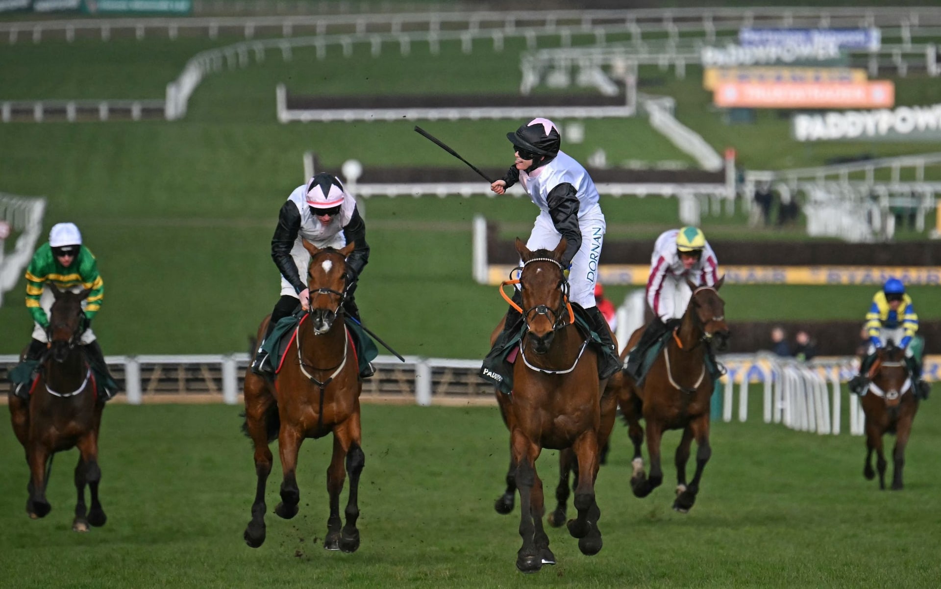 CHELTENHAM FESTIVAL 2026, EXPLAINED: DATES, RACE TIMES, COURSE GUIDE ...