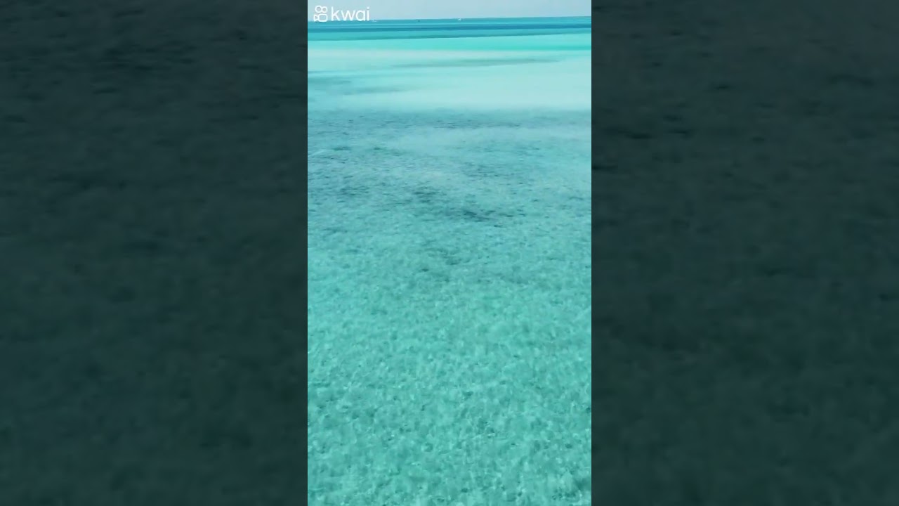 Dive into crystal waters around Exumas, Bahamas’ paradise islands