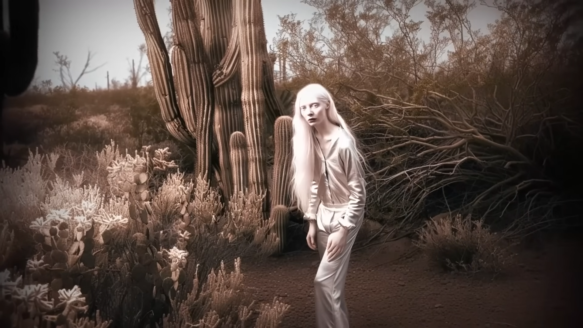 He was just a cook - until he saw something he wasn’t meant to<br>