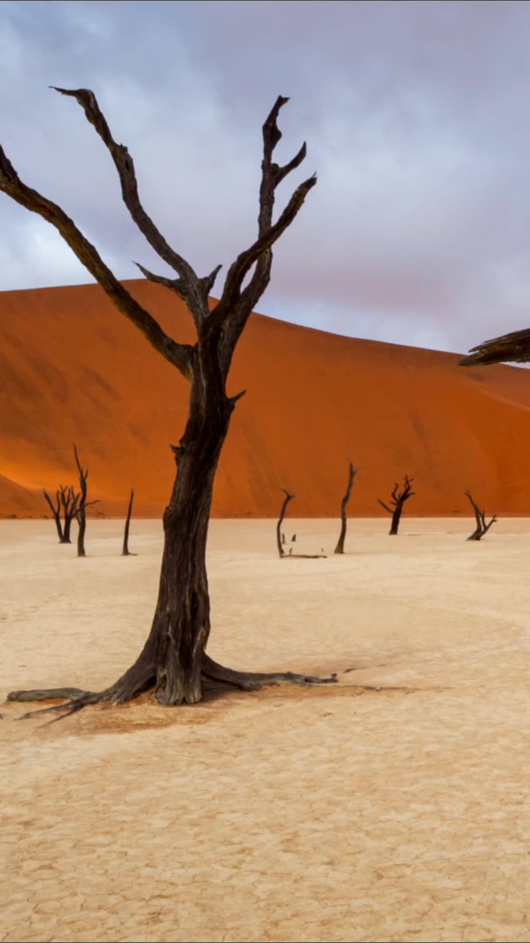 Deadvlei from above: Namibia's timeless natural tapestry