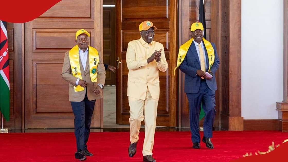 William Ruto hopes to win next election by margin of 3 million votes ...