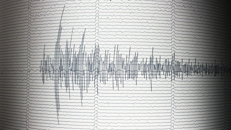 Sismik dalgalar geçtikleri yere göre farklı özellik gösteriyor.