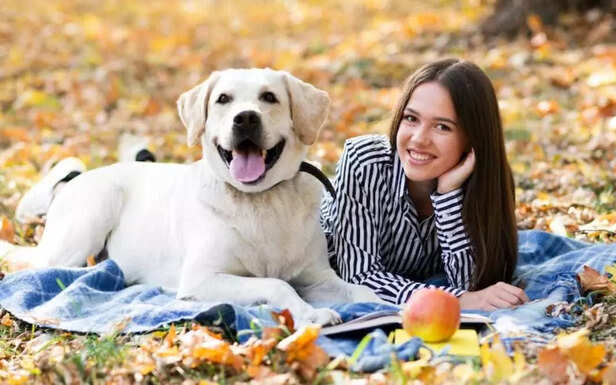 Why pets mirror their owner’s daily routine more than their training