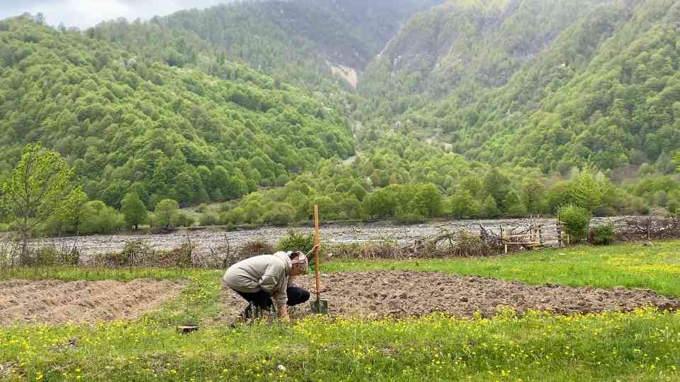 This is how traditional khash is cooked in nature