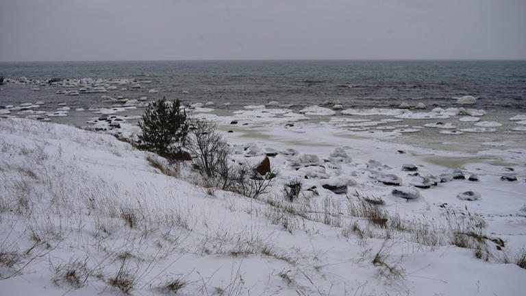 Scientists uncover major error in key Arctic snow cover data