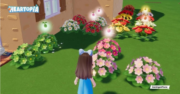 Heartopia seeds guide: Where to buy and how to get them