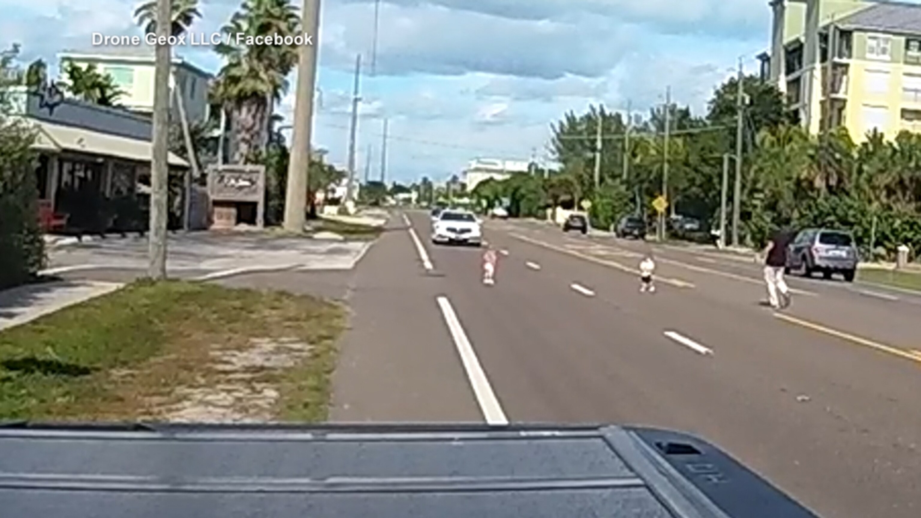 Bystander rescues two toddlers from busy street<br>