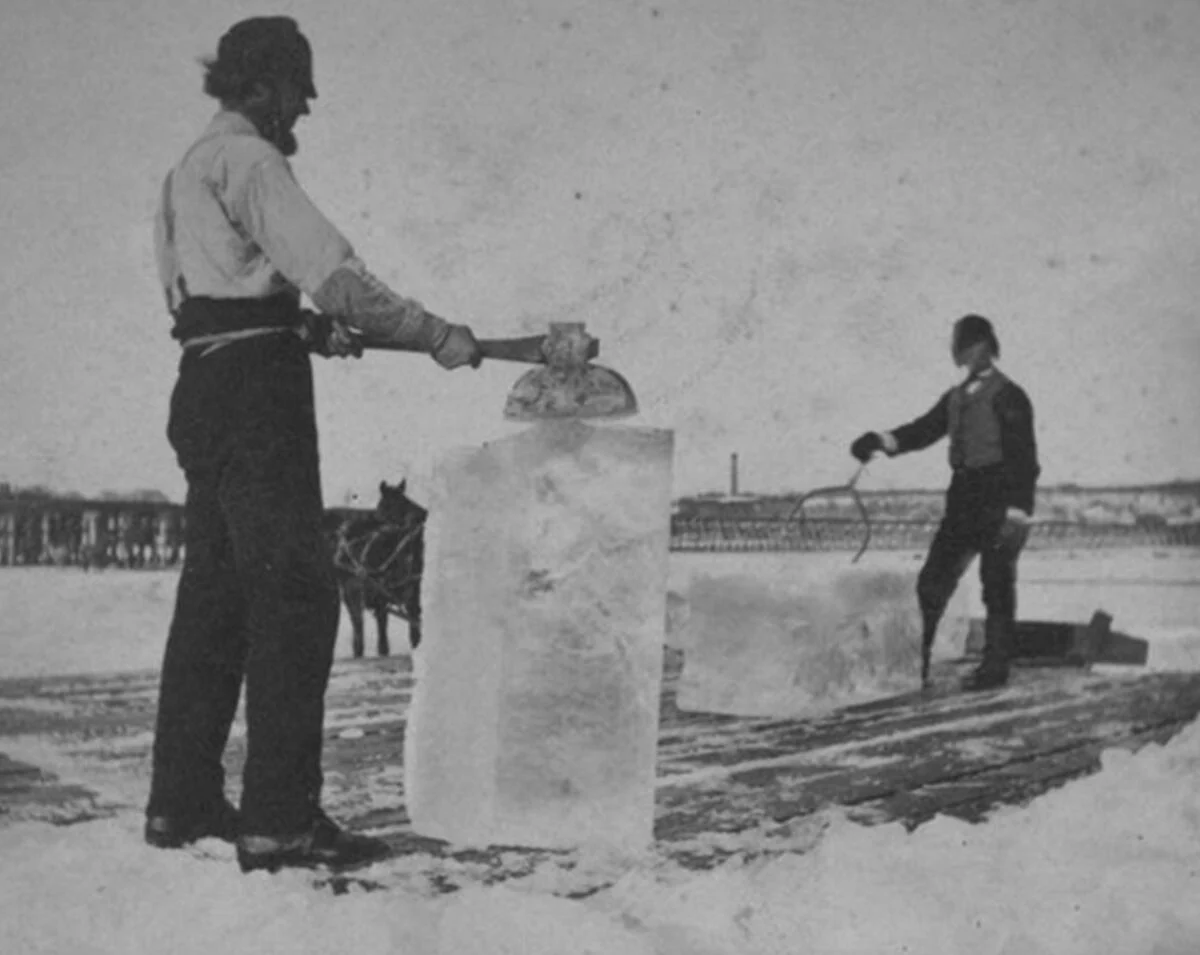 Unusual jobs that helped our ancestors survive a century ago