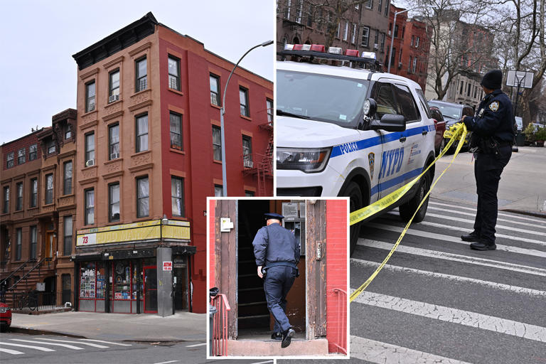 85-year-old woman stabbed to death in NYC home, grandson in custody ...